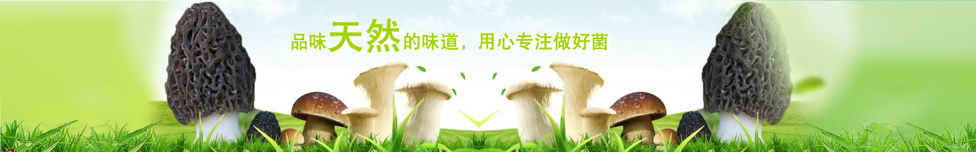 ϾɽfϘIƼ޹˾