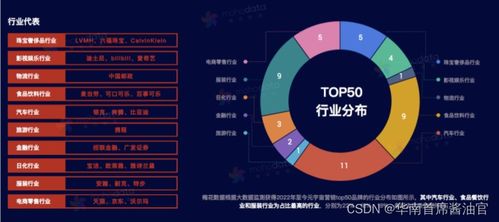 元宇宙營銷新紀(jì)元 策略、玩法與軟硬件開發(fā)實戰(zhàn)